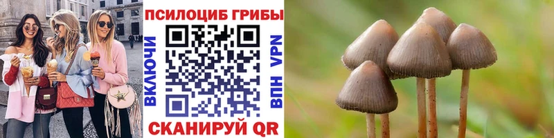 omg ТОР  закладка  Полевской  Псилоцибиновые грибы Psilocybe 