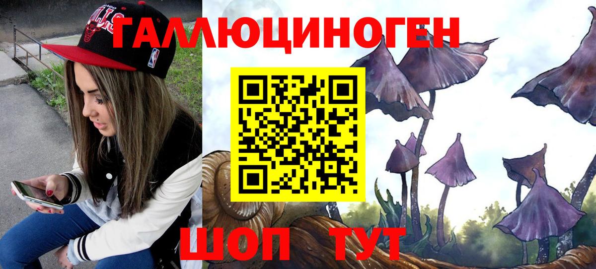 Псилоцибиновые грибы Cubensis Полевской