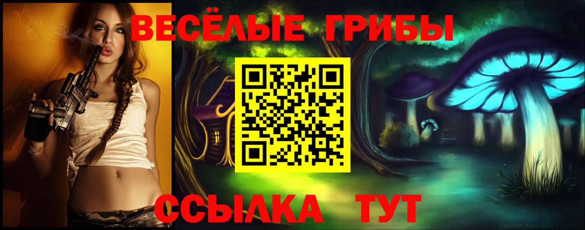 Полевской  Псилоцибиновые грибы Psilocybine cubensis  Псилоцибиновые грибы мухоморы  Вход с VPN 